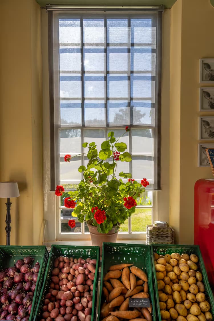 Verscheidenheid aan Aardappels