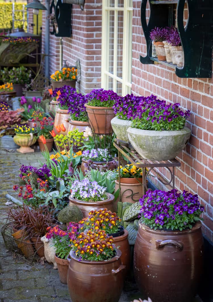 Bloemenpracht Buiten