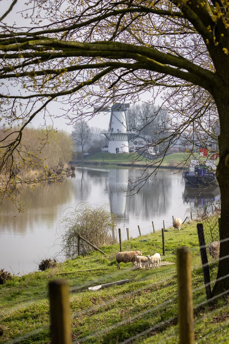 Molen aan de rivier
