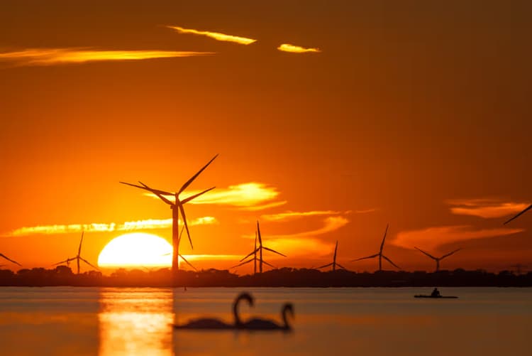 Zonsondergang met Windmolens