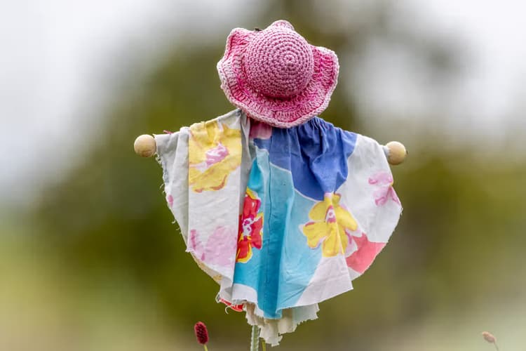 Kleurige Vogelverschrikker