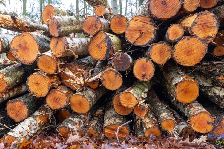 Gestapelde Houtblokken