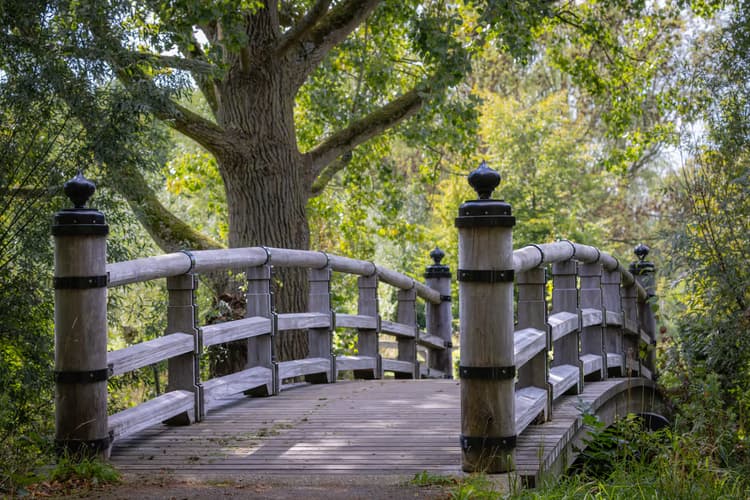 Houten Brug in de Natuur