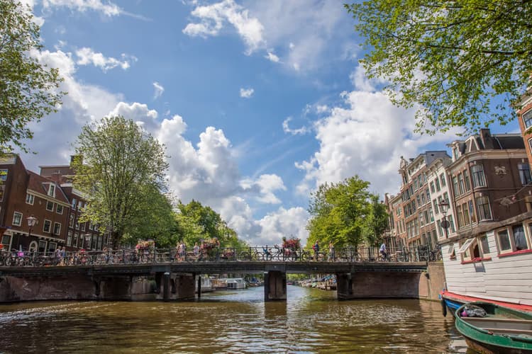 Zomer in de Grachten