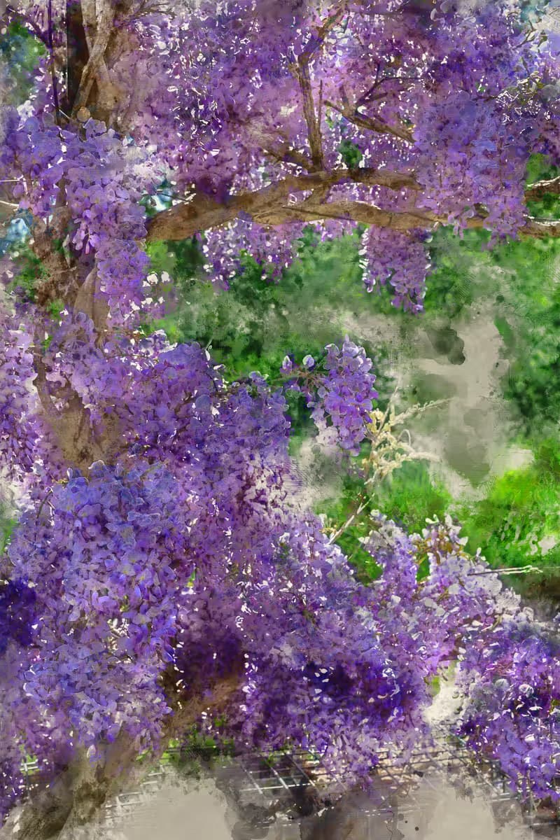 Blauweregen- art.jpg