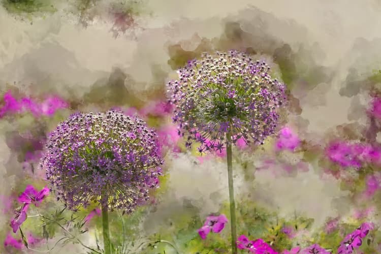 Paarse Bloemenpracht