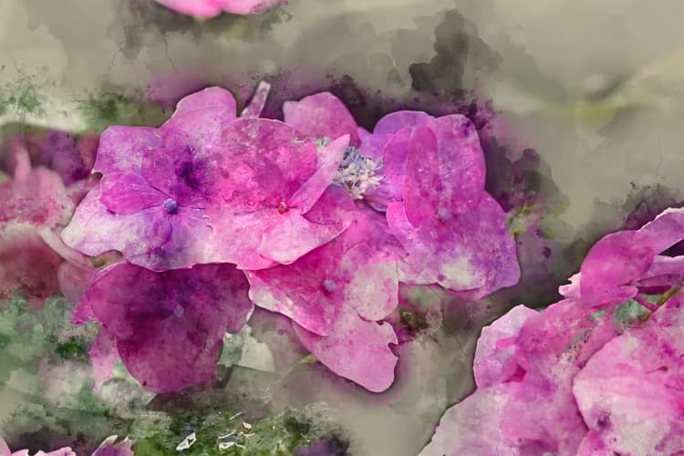 Prachtige Roze Bloemen