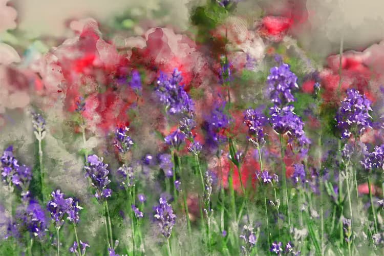 Kleurrijke Bloemenzee