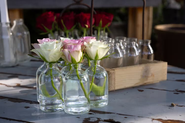 Rozen in glazen flessen