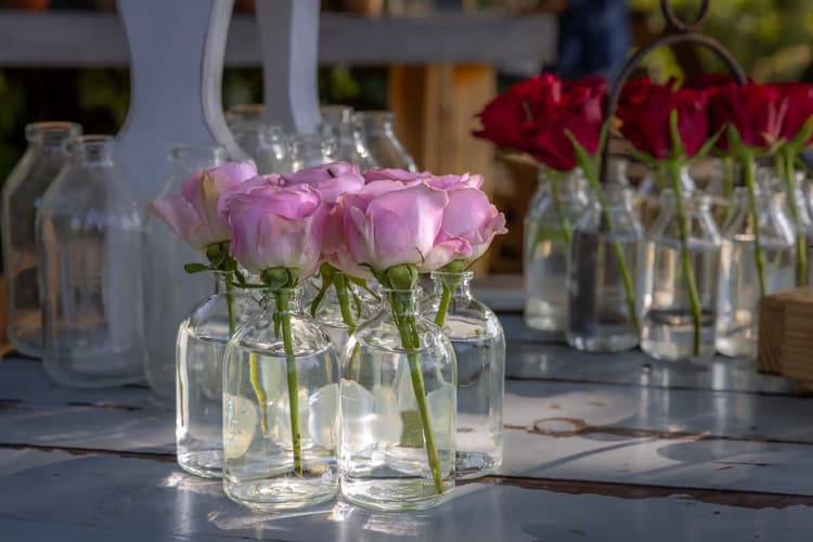 Rozen in glazen flessen